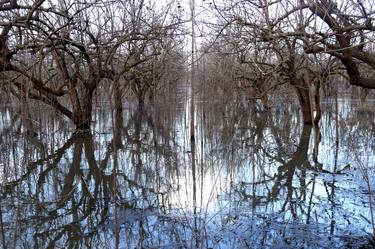 Print of Impressionism Landscape Photography by Haggai Ben-Yehuda