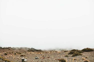 Fog, Mauna Kea Forest Reserve 2016 - Limited Edition of 10 thumb