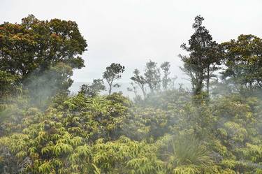 Steam, Hawaii Volcanoes National Park 2016 - Edition of 10 thumb