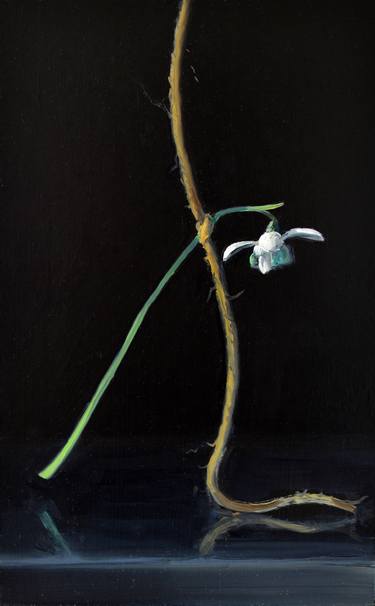 Original Figurative Floral Paintings by Owen Normand
