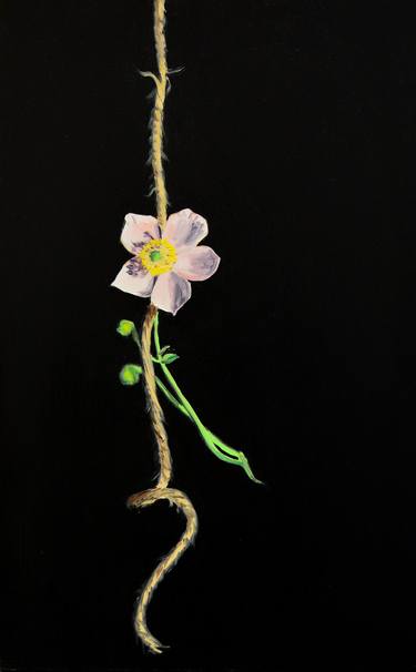 Original Floral Paintings by Owen Normand