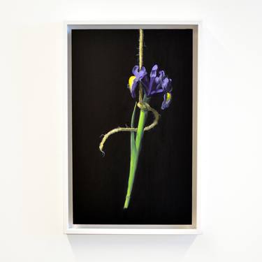 Print of Expressionism Floral Paintings by Owen Normand