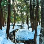 Wintertime Flora & Fauna thumb