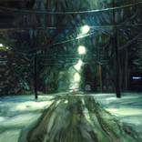 snowy drive by Christy Powers