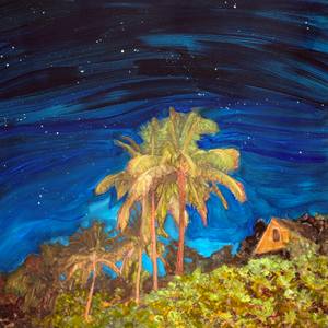 Caribbean night