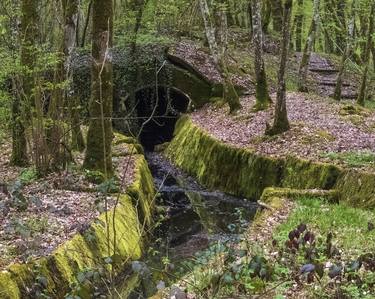 Original Fine Art Landscape Photography by Herman van Doorn