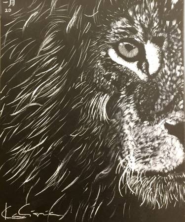 Lion in Black and White thumb