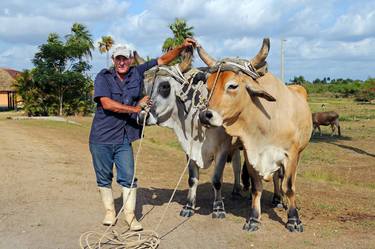 Farmer and Ox, Rural Scene of Cuba, 2015 thumb