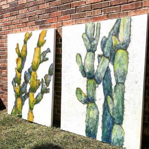 Collection Gardens