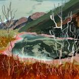 Mountain Lake by anne ducrot