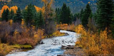 Autumn Along Park Creek thumb