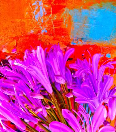 Print of Abstract Floral Photography by Melita Johnston