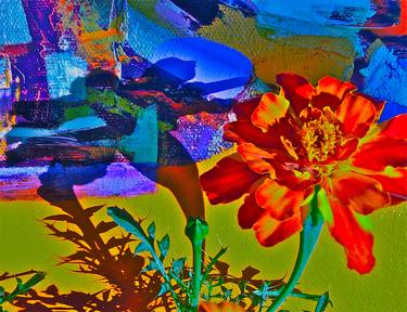 Print of Abstract Floral Photography by Melita Johnston