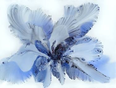 Original Abstract Botanic Painting by Muriel Napoli