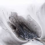 Nature 575 by Muriel napoli
