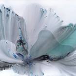 Nature 584 by Muriel napoli