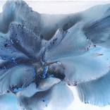 Nature 488 by Muriel napoli