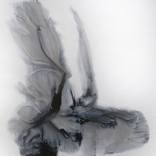 Collection Anniversary: Iconic Art Styles | Black and White