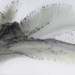 Collection Brooklyn VE November 2021