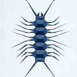 Geometric Insect by Dominic Joyce