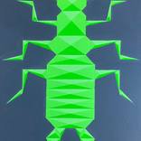 Geometric Insect Study I by Dominic Joyce