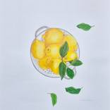 Stay healthy by Gerdi Moeller-Jansen