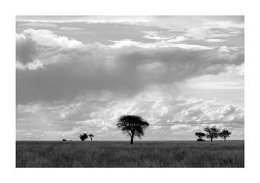 Original Black & White Landscape Photography by Gita Claassen