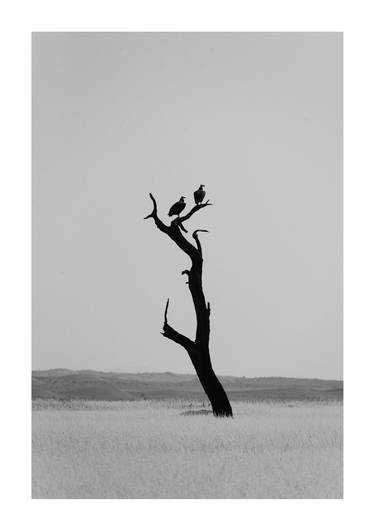 Original Classicism Nature Photography by Gita Claassen
