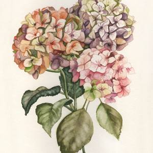 Collection Art Style: Florals & Flowers