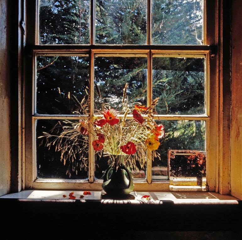Original Floral Photography by Clive Frost | Documentary Art on Paper | Red Flowers. LIMITED EDITION PRINT 1 of 8