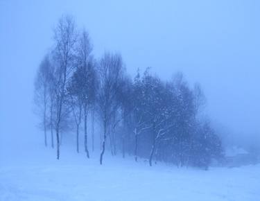 Original Seasons Photography by Clive Frost