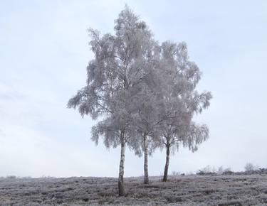 Original Documentary Landscape Photography by Clive Frost