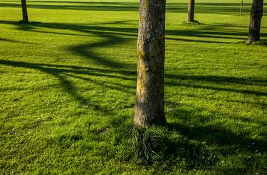 Original Documentary Landscape Photography by Clive Frost