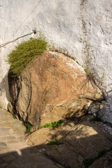 Original Documentary Wall Photography by Clive Frost