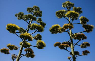 Original Documentary Landscape Photography by Clive Frost