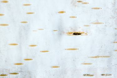 Print of Abstract Patterns Photography by Cristina Velina