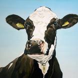 Cow 4442 by Clara Bastian