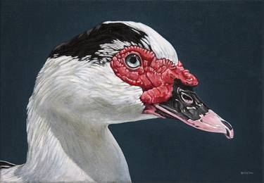 Print of Realism Animal Paintings by Clara Bastian