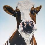 Collection Gifts For Animal Lovers