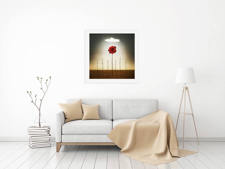 Original Conceptual Floral Photography by Alessandra Favetto