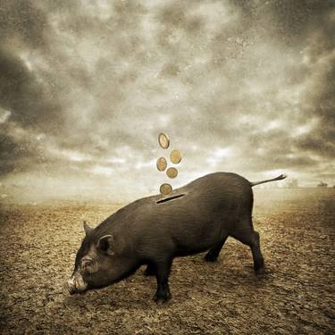 Original Conceptual Animal Photography by Alessandra Favetto