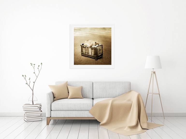 Original Conceptual Animal Photography by Alessandra Favetto