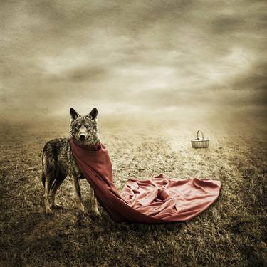 Original Animal Photography by Alessandra Favetto