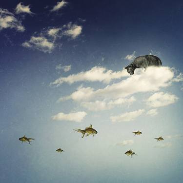 Original Conceptual Animal Photography by Alessandra Favetto