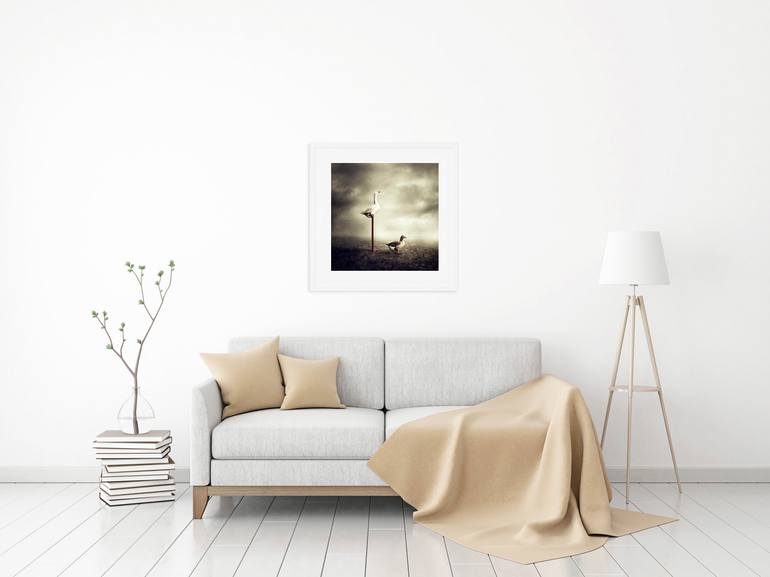 Original Conceptual Animal Photography by Alessandra Favetto