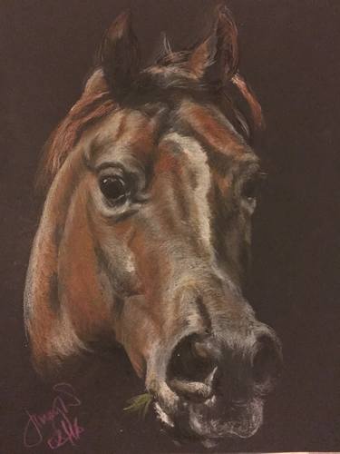 Bay mare in pastel thumb