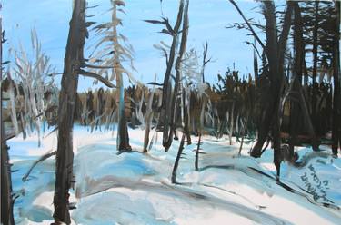 Winter forest landscape thumb