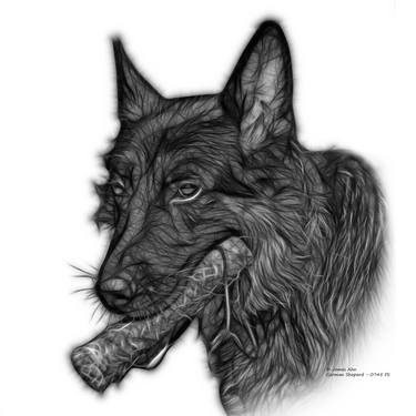 Greyscale German Shepard and Toy - 0745 FS thumb