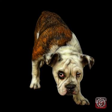 English Bulldog Dog Art - 1368 - BB thumb