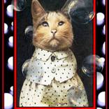 CAT BUBBLES - Limited Edition of 1 by Peter J Ketchum